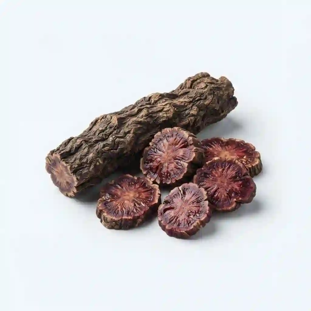 angelica gigas root